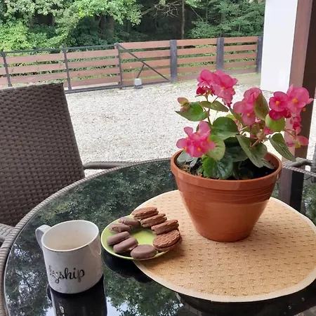 Casa de Férias Caloroczny Domek Pod Lasem Z Jacuzzi.